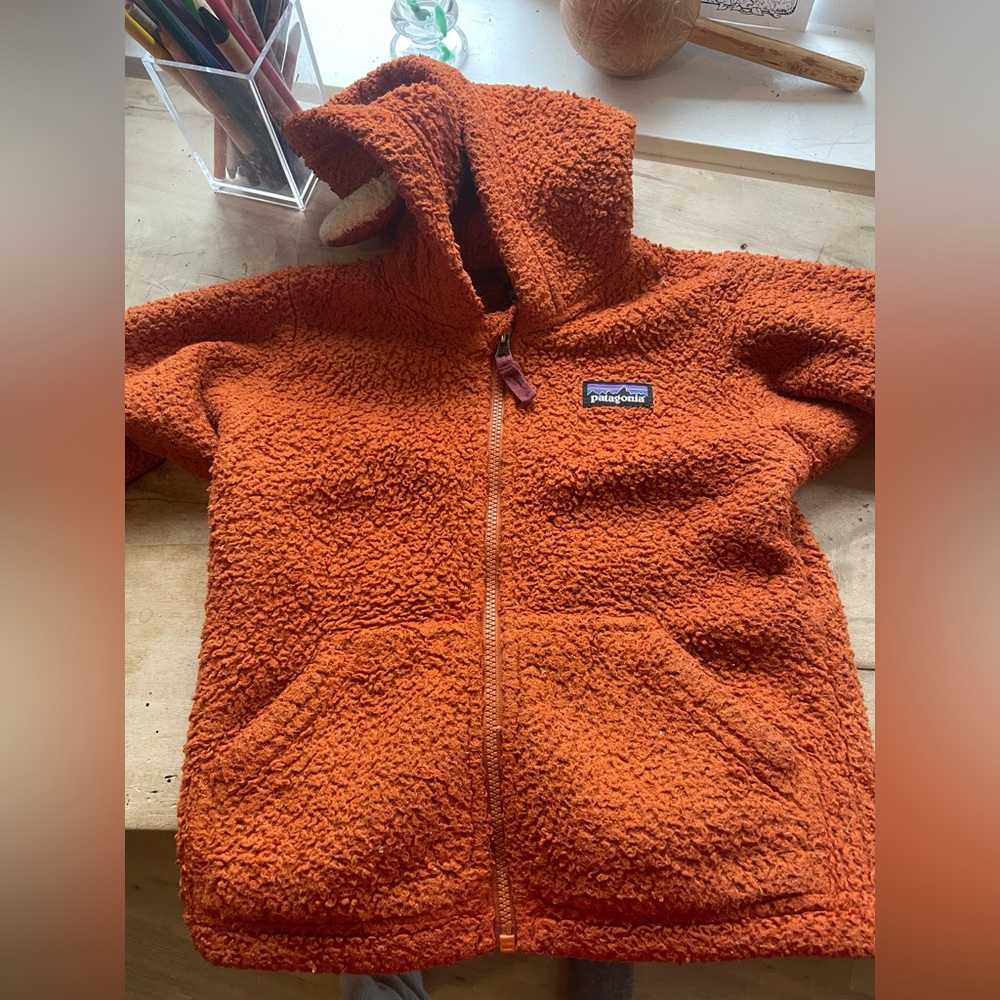 Toddler Patagonia sweater - 2T